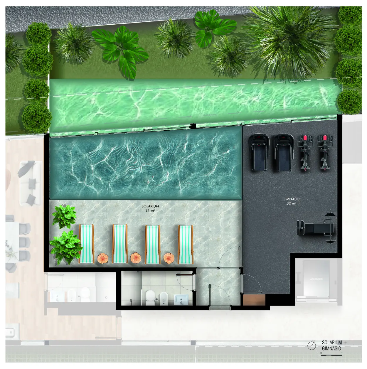 See Bosque - PLANTAS-02